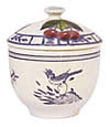 oiseau bleu sugar