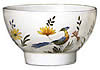 oiseaux de paradis bowl